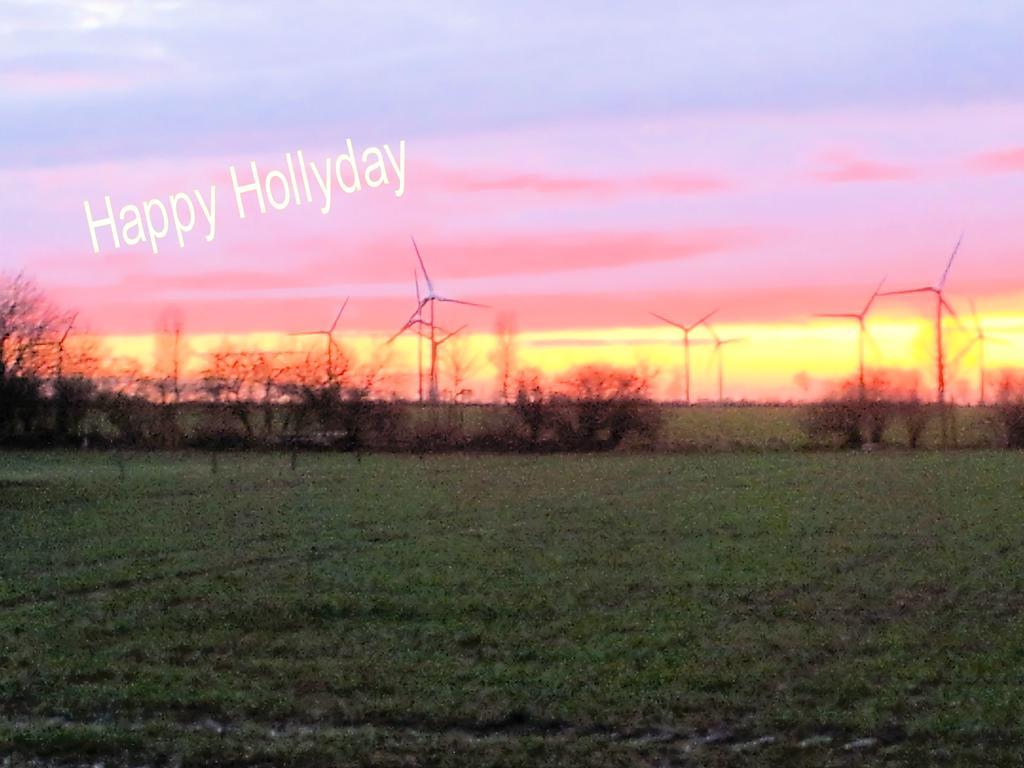 Ferienanlage Wildt Petersdorf auf Fehmarn Dış mekan fotoğraf